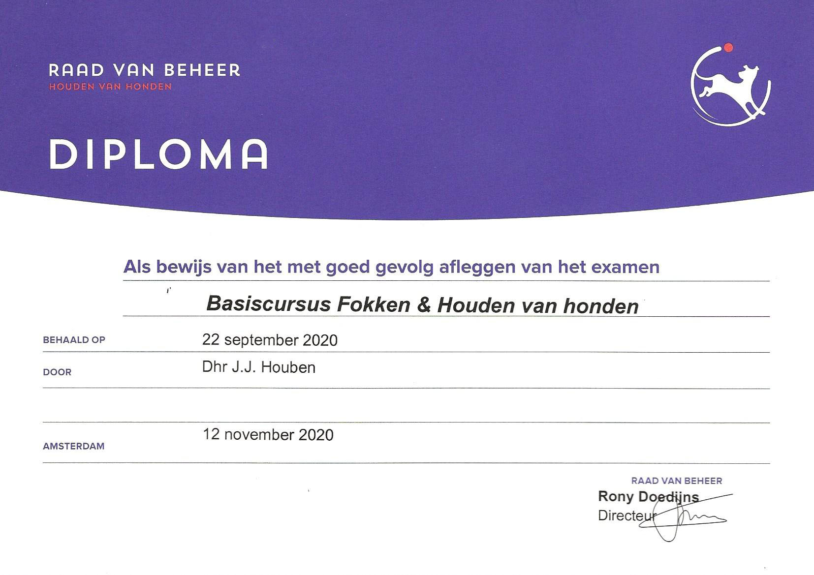 Diploma BFH